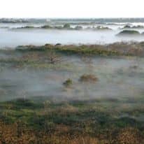 Fall fog on Nantucket