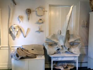 Whale bones on Nantucket