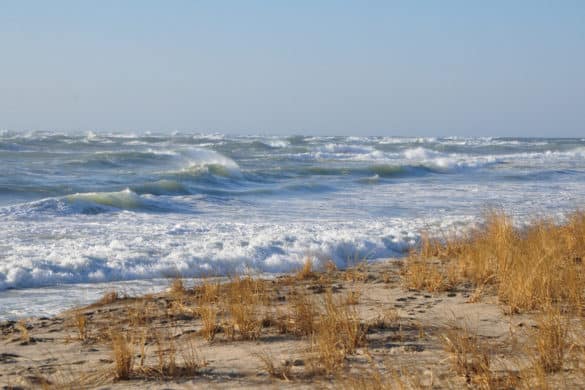 Nantucket Beach on New Year's Day