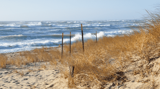 Nantucket Beach Walk