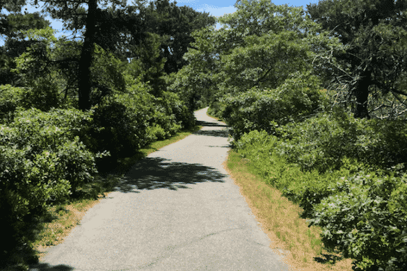 Wallet on Nantucket Bike Path