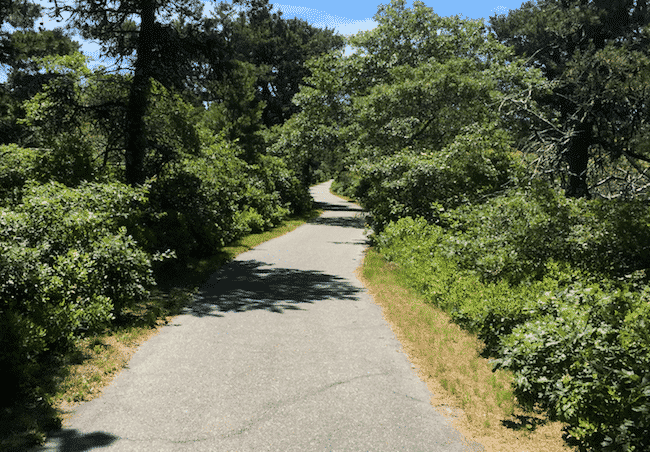 Wallet on Nantucket Bike Path