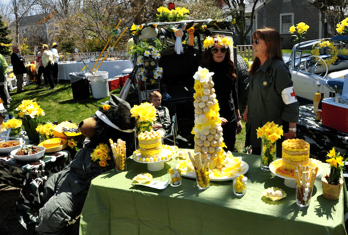 Nantucket Daffy Picnic