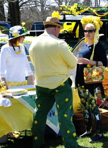 Nantucket Daffodil Picnic