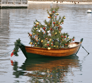 Christmas Tree in Dory