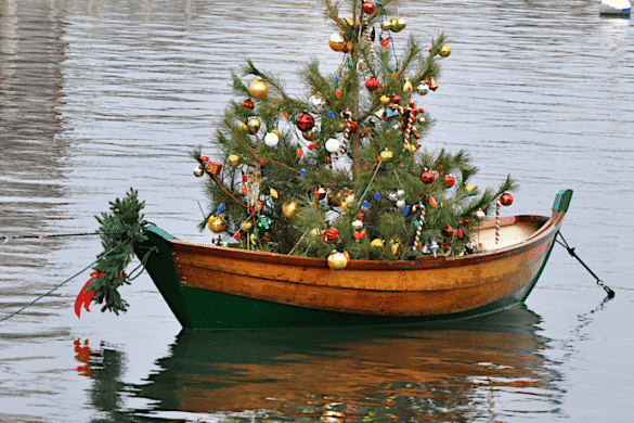 Christmas Tree in Dory