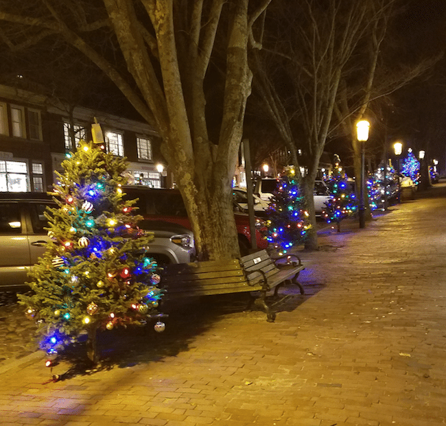 Nantucket Christmas Trees Right