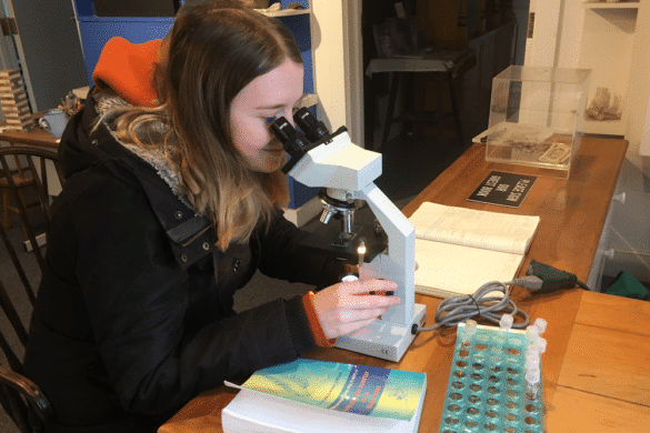 Maria Mitchell Association Nantucket Kids Programs