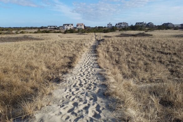 March Morning Walk on a Nantucket Beach