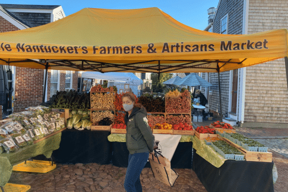 Sustainable Nantucket Holiday Market