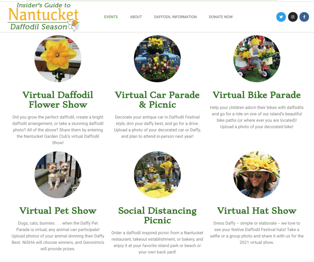 Virtual Daffodil Festival