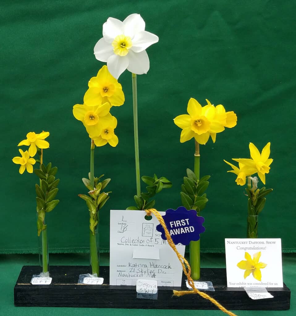 Daffodil Festival Winners