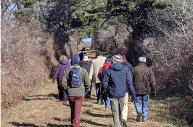 Ncf Winter Walks2025