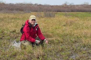 Kelly Omand, NCF Plant Research Ecologist Botanist