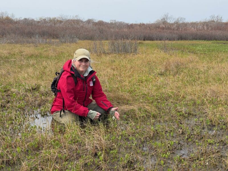 Kelly Omand, NCF Plant Research Ecologist Botanist