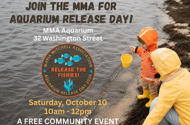 Join the MMA Aquarium for our annual Release Day! (8 x 5.5 in)