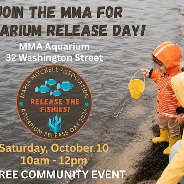 Join the MMA Aquarium for our annual Release Day! (8 x 5.5 in)