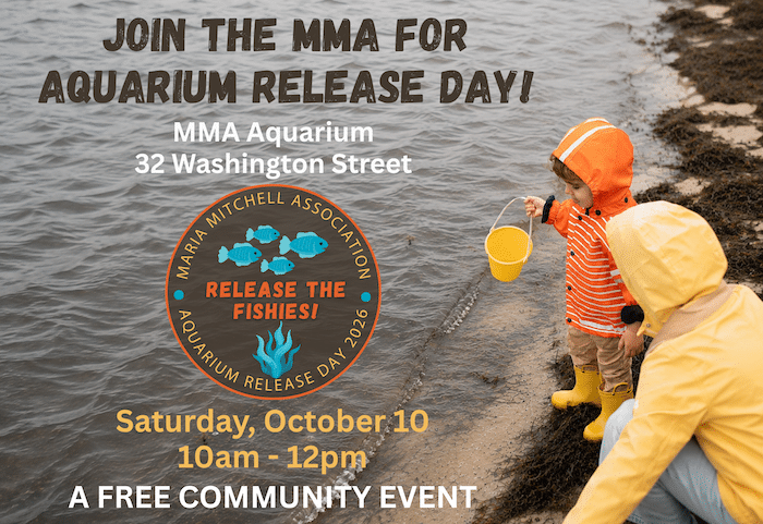 Maria Mitchell Association 2026 Release Day & Scallop Excursions